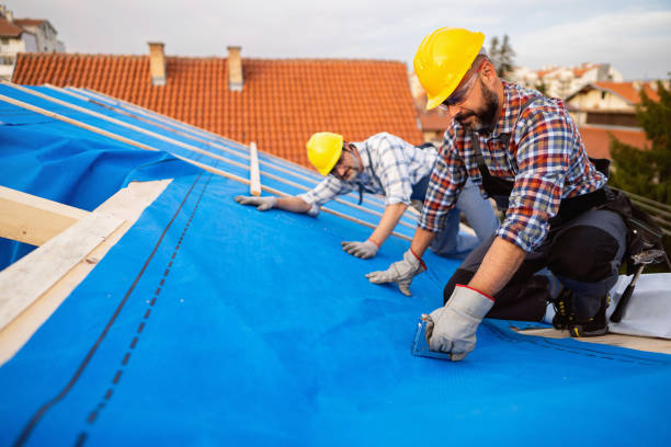 Best Roof Ventilation Installation  in Merryville, LA