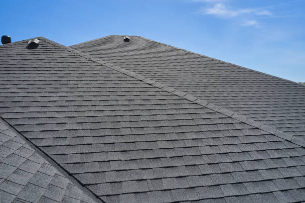 Best Roof Moss and Algae Removal  in Merryville, LA